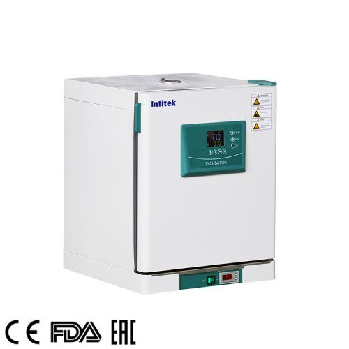 Constant Temperature Incubator ICB P Series（8）