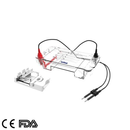 Horizontal Electrophoresis Cell GEP HH SUB01（8）