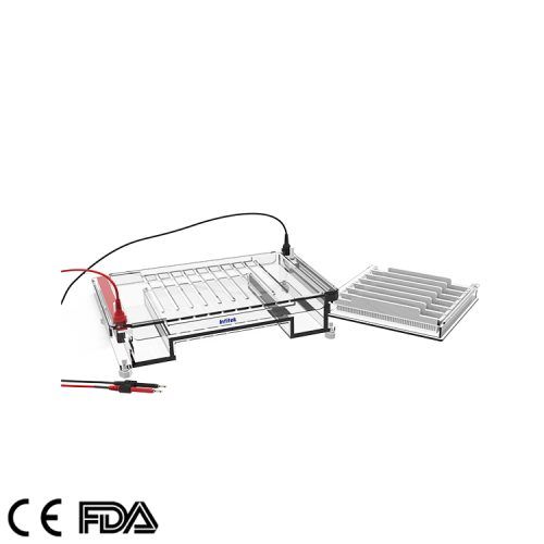 Horizontal Electrophoresis Cell GEP HH SUB04（8）