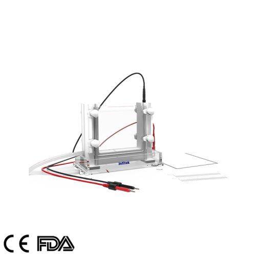 Vertical Electrophoresis Cell GEP VH SCZ02（9）