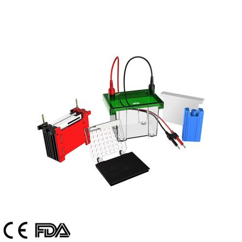 Mini Transfer Electrophoresis Tank GEP TH ZY02（9）