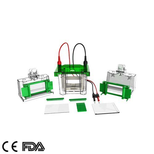 Mini Vertical Electrophoresis Tank GEP VH 1（6）