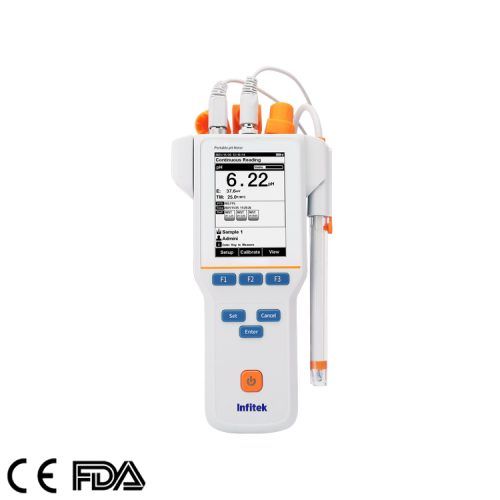 Portable pH Meter PH P310F 01