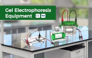 What is Gel Electrophoresis