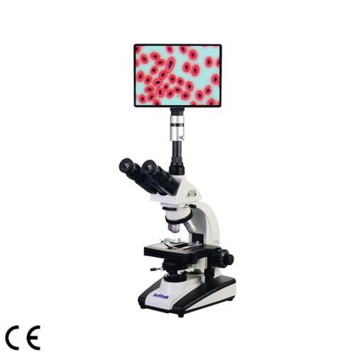 MSC B512W biological microscope