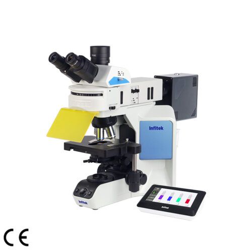 Fluorescence Microscope, MSC-F31